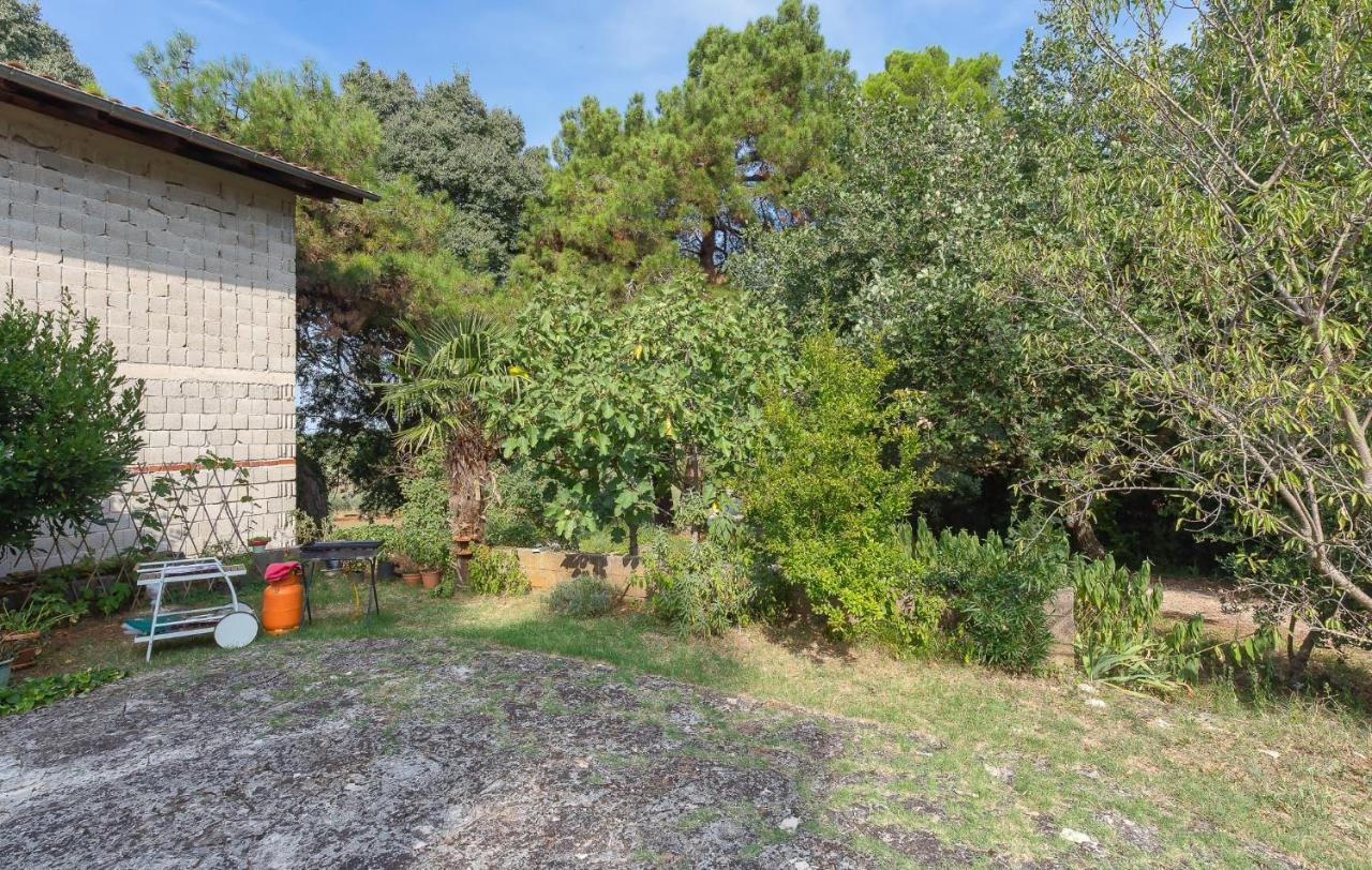 Apartament St. Becic Poreč Zewnętrze zdjęcie